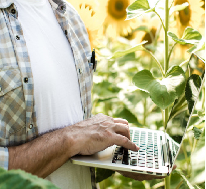 Development of modern agriculture and food industry