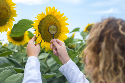 Association “Dobrudzha Agrarian and Business School” is a partner in a new initiative for adapting agriculture to climate change in the Black Sea Basin region